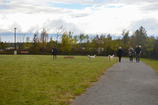 Dog Park2